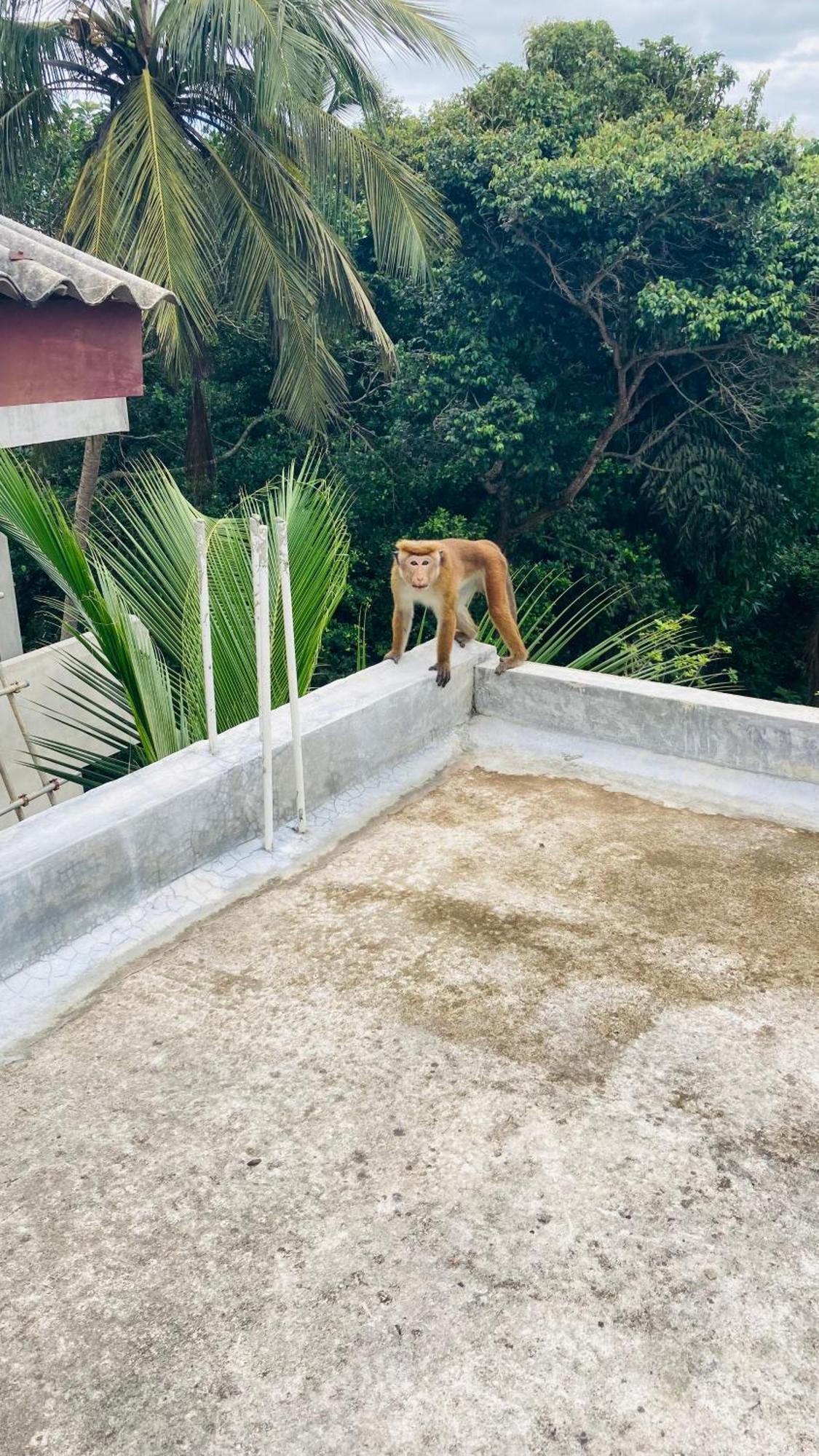Ayubowan Hiriketiya Apartment Dikwella Ngoại thất bức ảnh